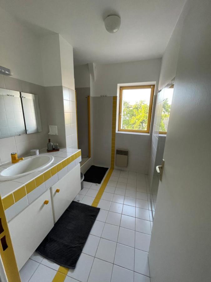 Grand Appartement Hypercentre Avec Terrasse Et Parking Poitiers Bagian luar foto
